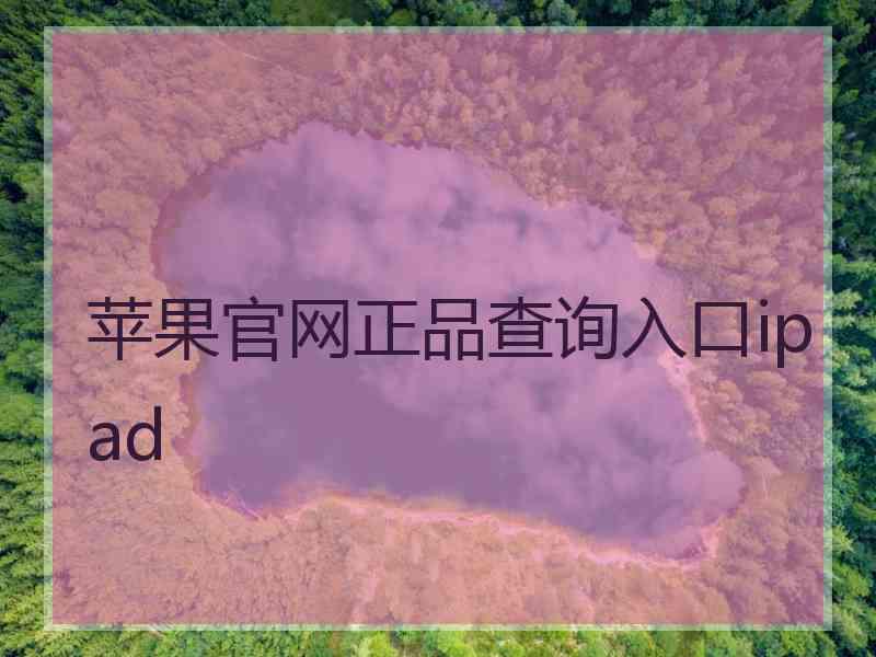 苹果官网正品查询入口ipad