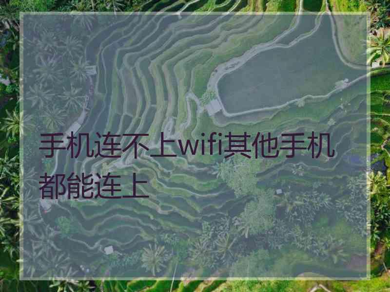 手机连不上wifi其他手机都能连上