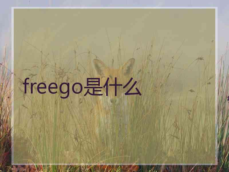 freego是什么