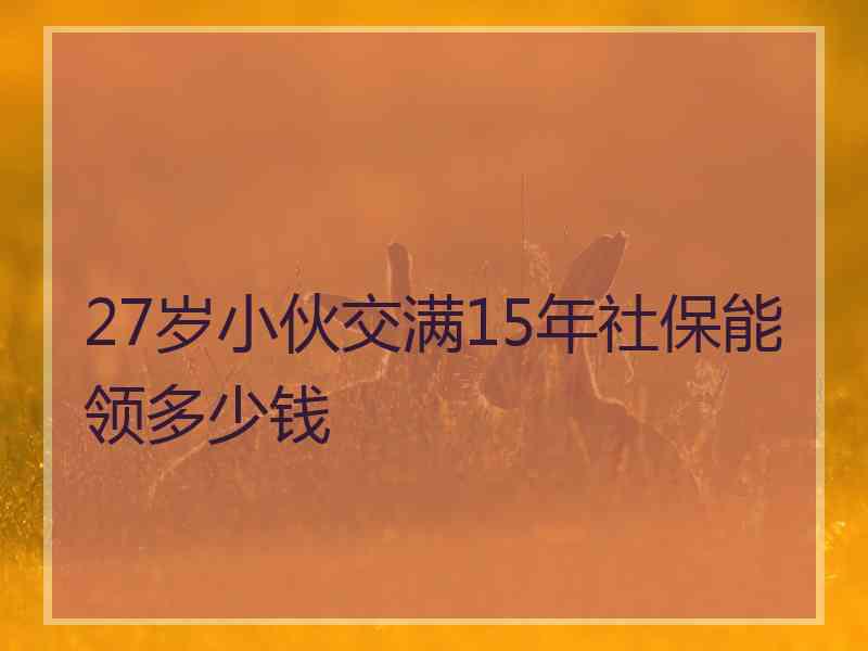 27岁小伙交满15年社保能领多少钱