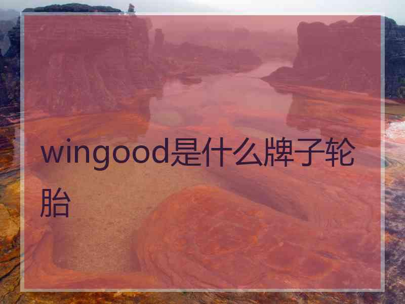 wingood是什么牌子轮胎