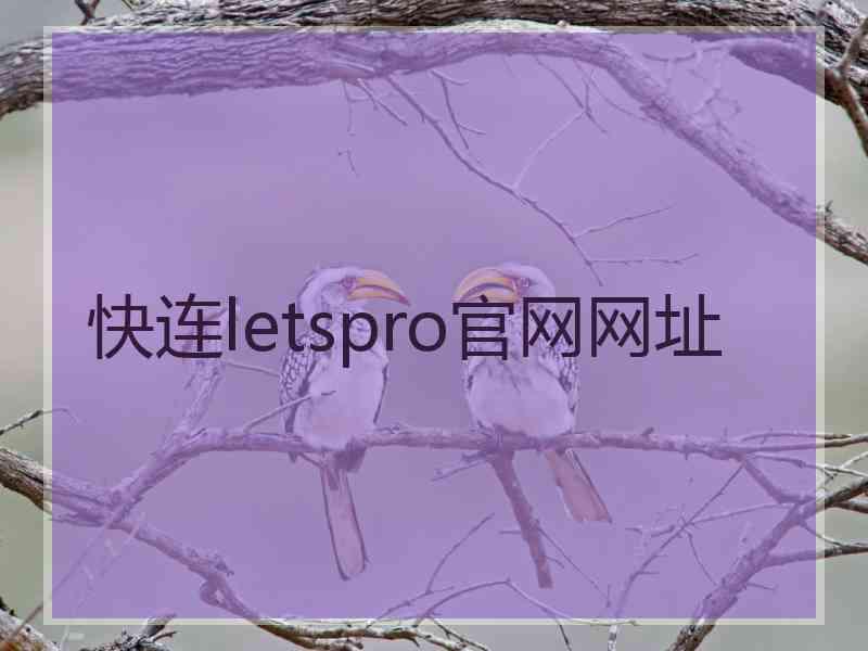 快连letspro官网网址