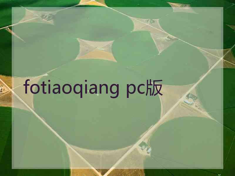 fotiaoqiang pc版