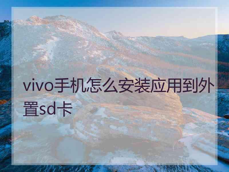 vivo手机怎么安装应用到外置sd卡