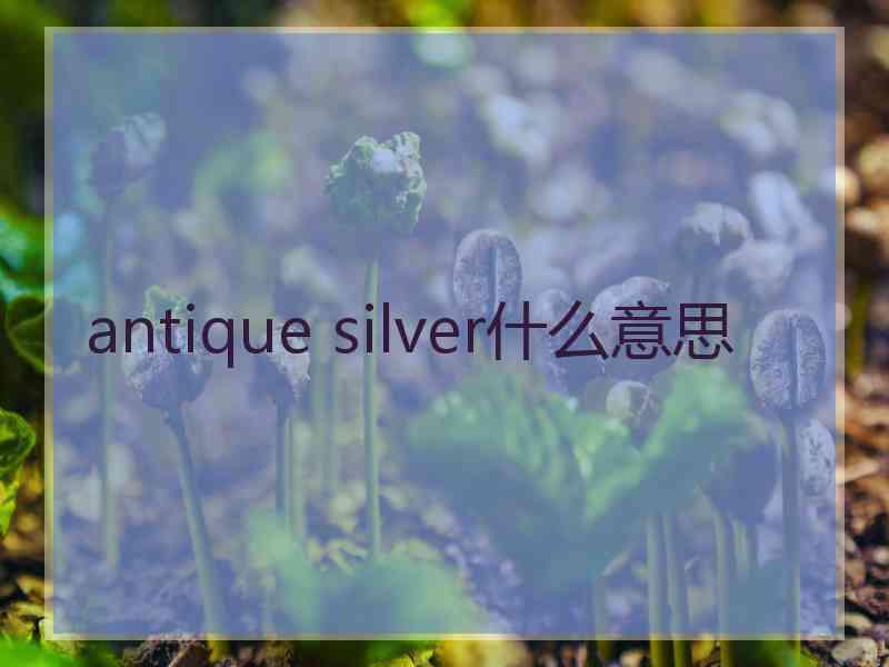 antique silver什么意思