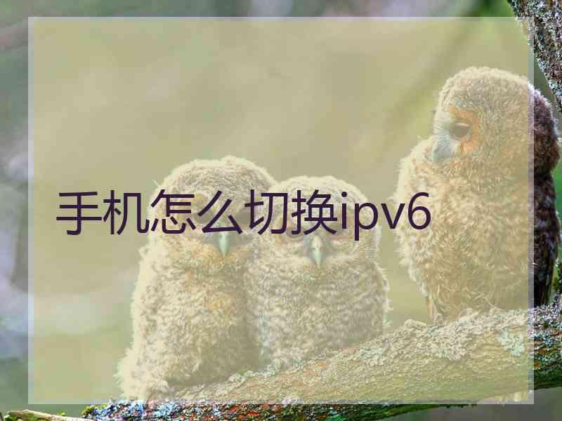 手机怎么切换ipv6