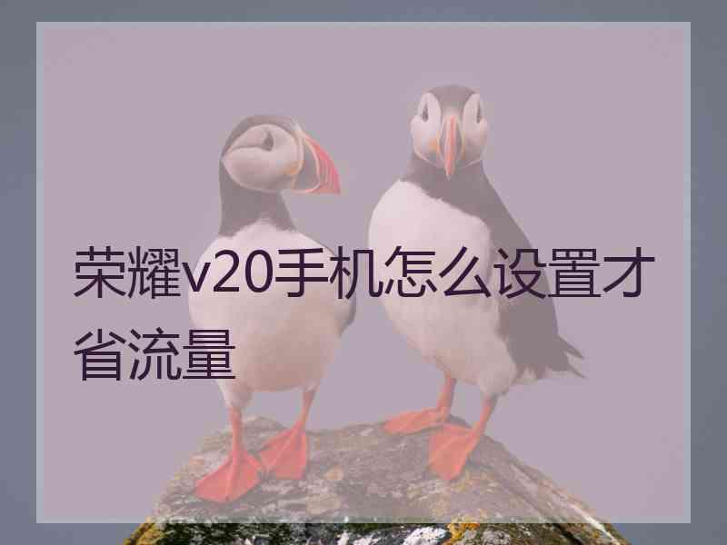 荣耀v20手机怎么设置才省流量