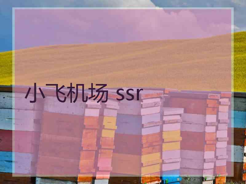 小飞机场 ssr