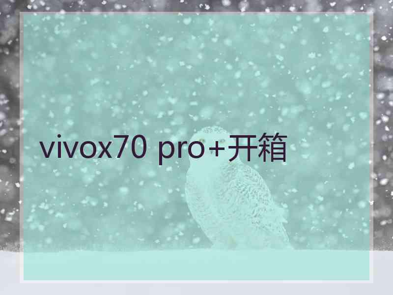 vivox70 pro+开箱