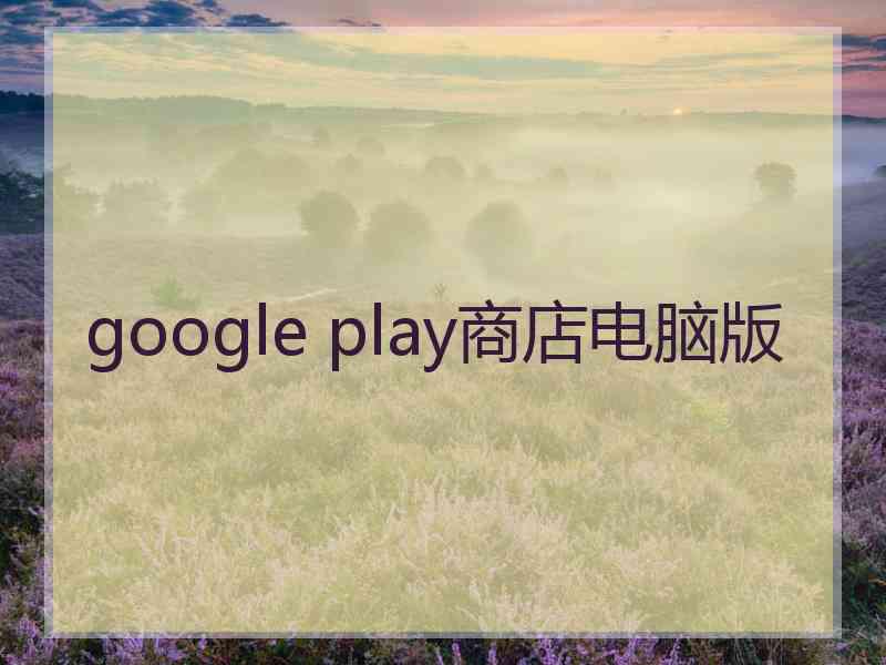 google play商店电脑版