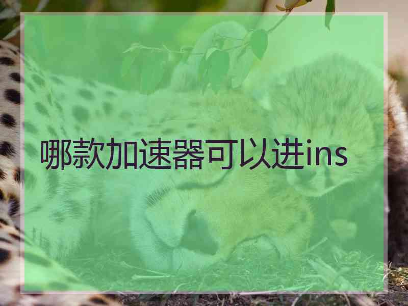 哪款加速器可以进ins