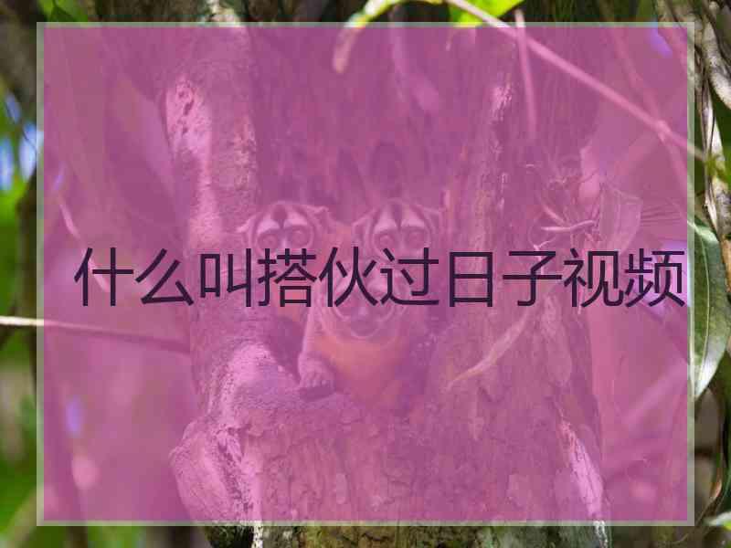 什么叫搭伙过日子视频