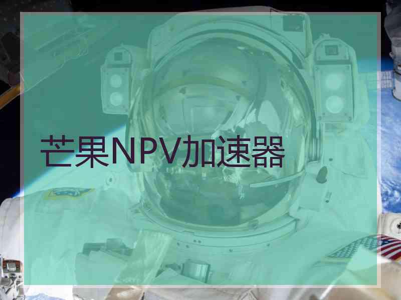 芒果NPV加速器