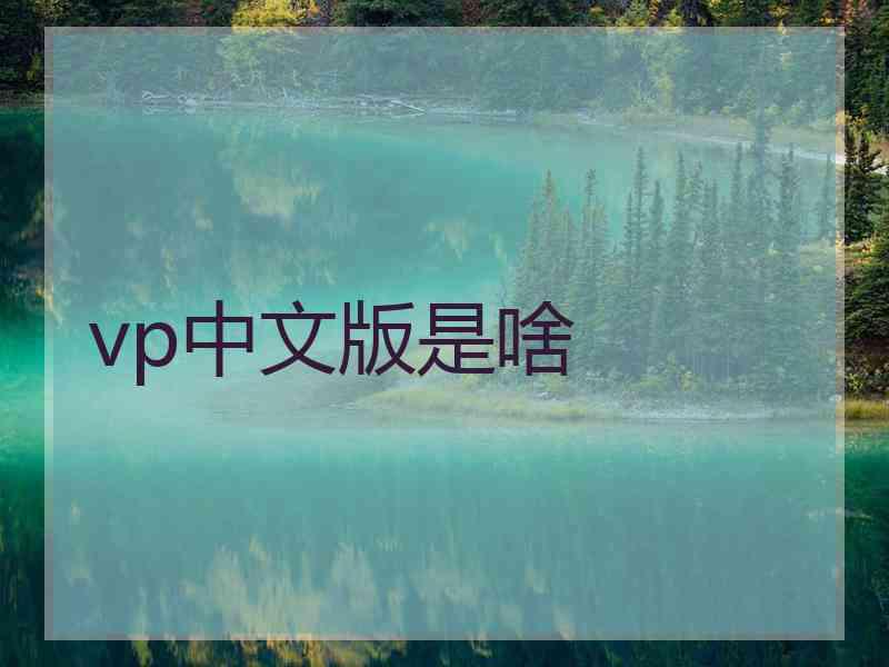 vp中文版是啥