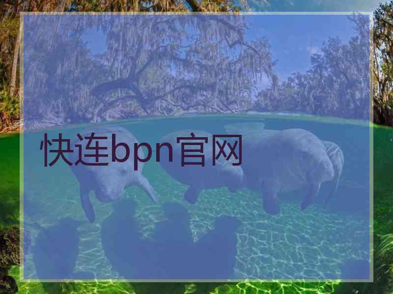 快连bpn官网