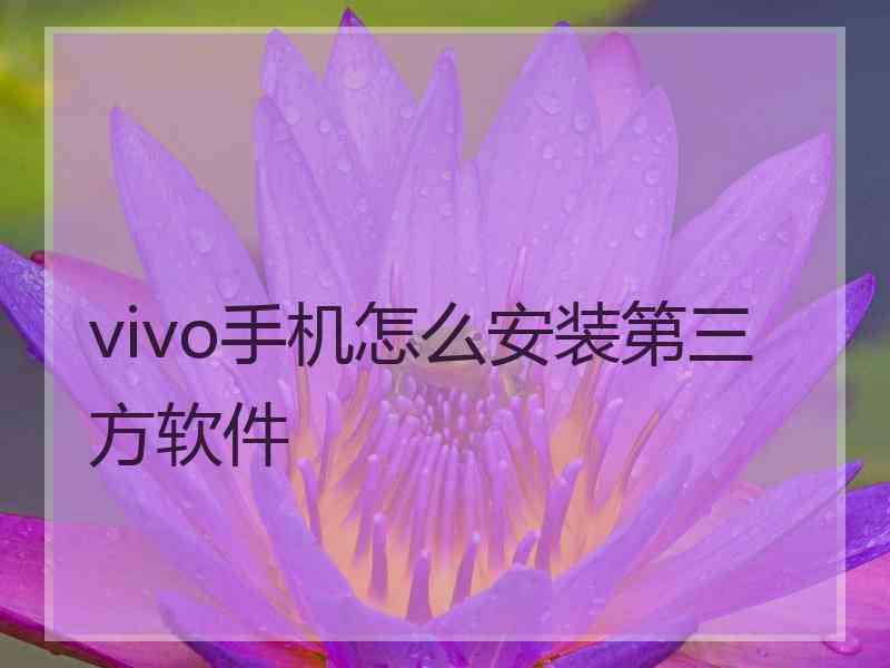 vivo手机怎么安装第三方软件