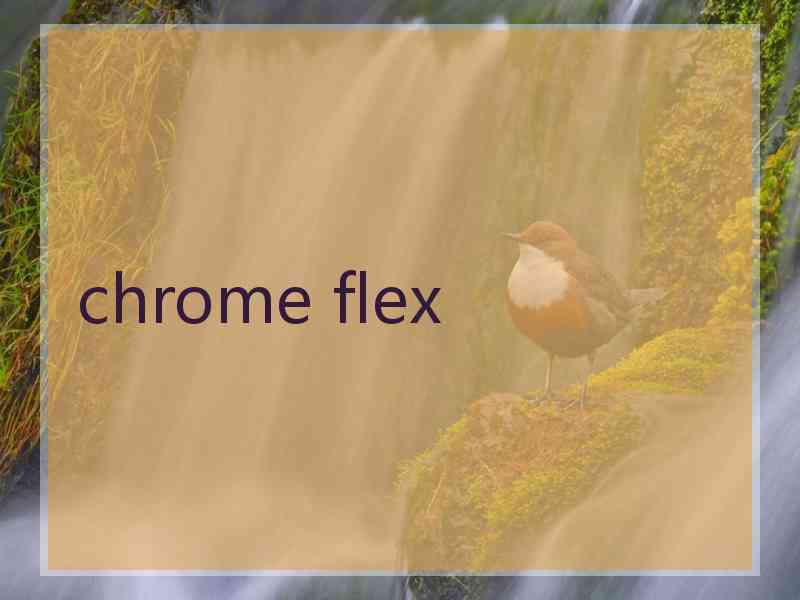 chrome flex
