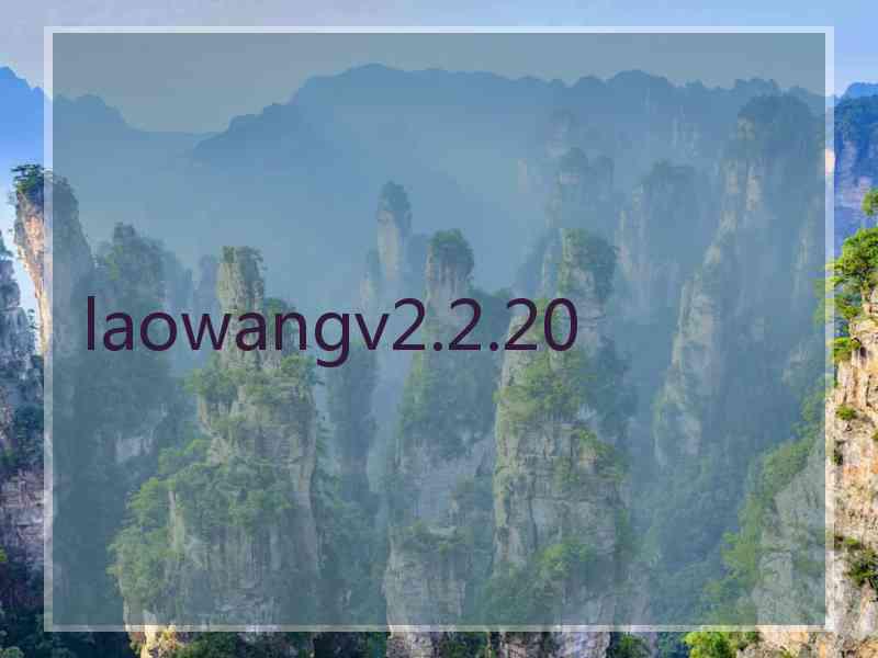 laowangv2.2.20