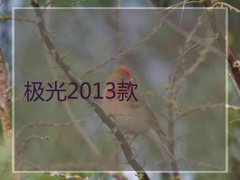 极光2013款