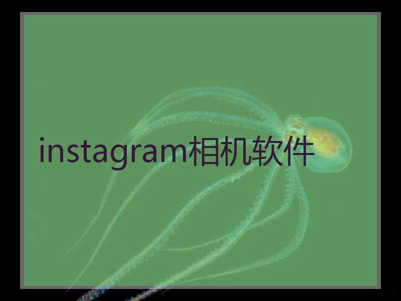 instagram相机软件