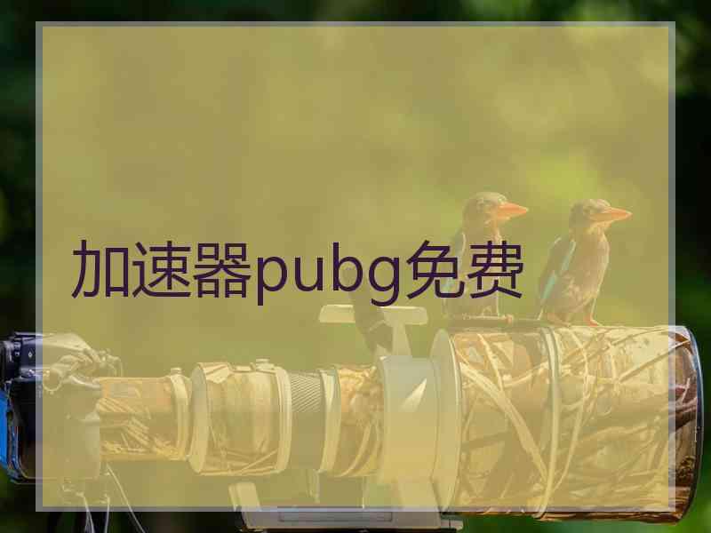 加速器pubg免费