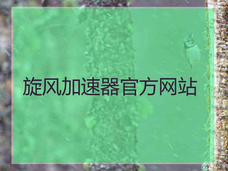 旋风加速器官方网站