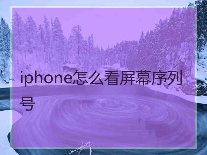 iphone怎么看屏幕序列号