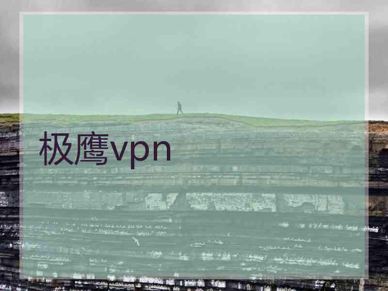 极鹰vpn