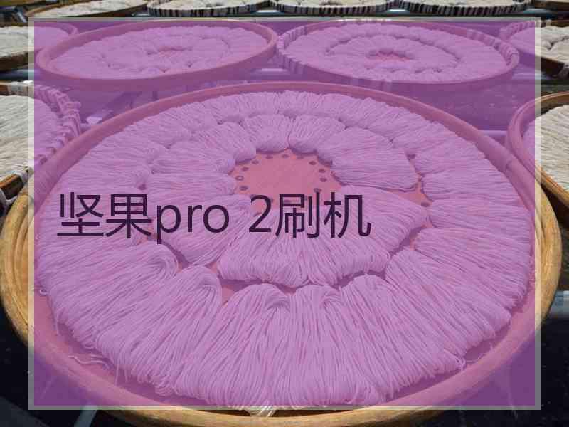 坚果pro 2刷机