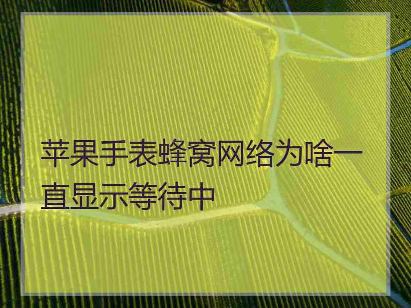 苹果手表蜂窝网络为啥一直显示等待中