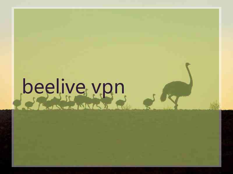 beelive vpn