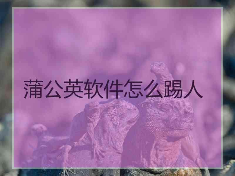 蒲公英软件怎么踢人