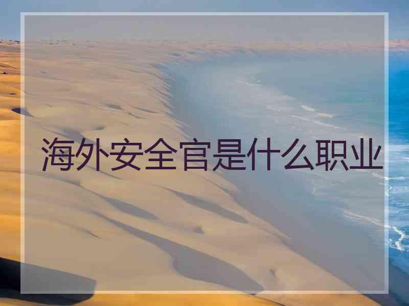 海外安全官是什么职业