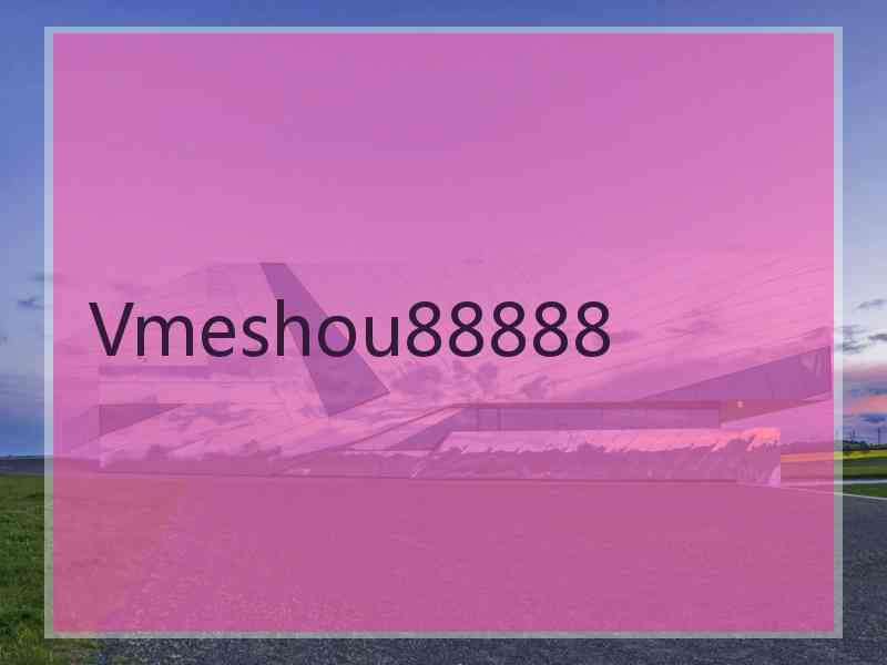 Vmeshou88888