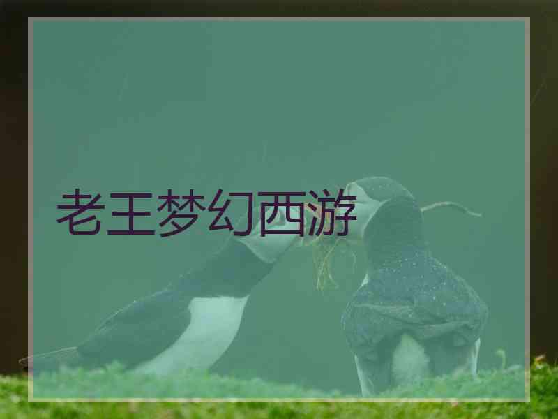 老王梦幻西游