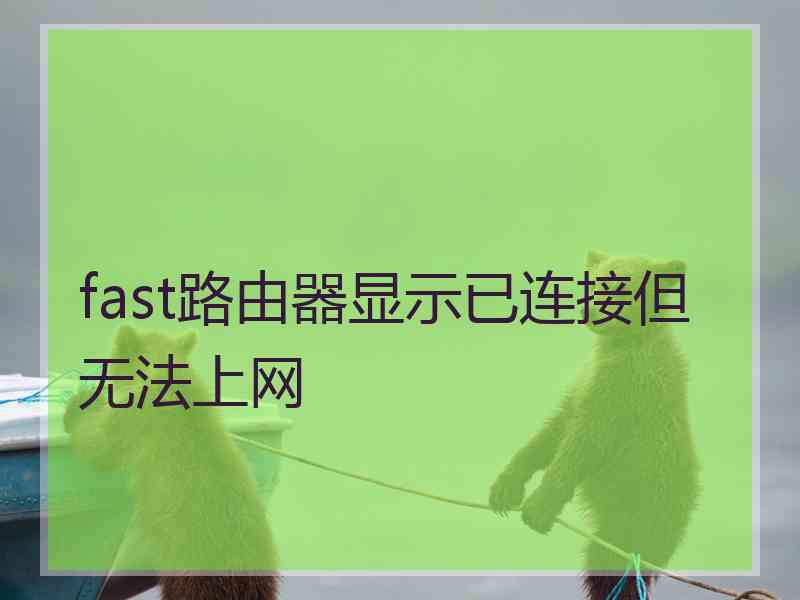 fast路由器显示已连接但无法上网