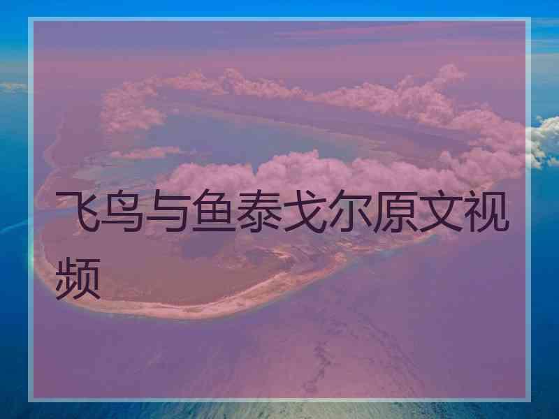 飞鸟与鱼泰戈尔原文视频