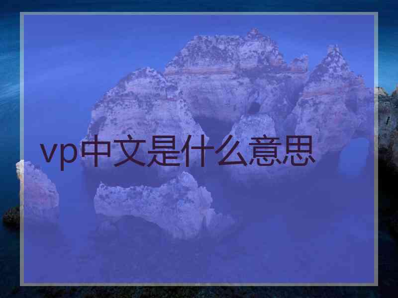 vp中文是什么意思