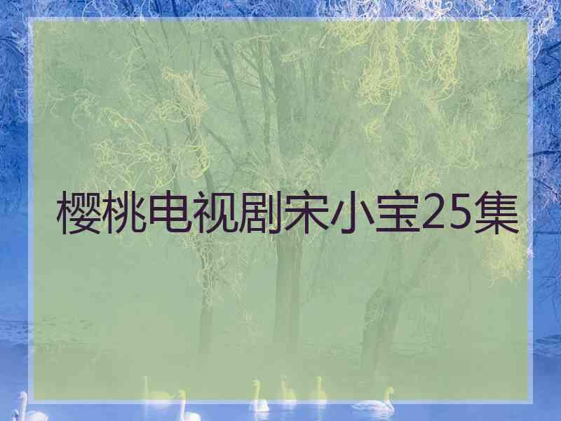 樱桃电视剧宋小宝25集