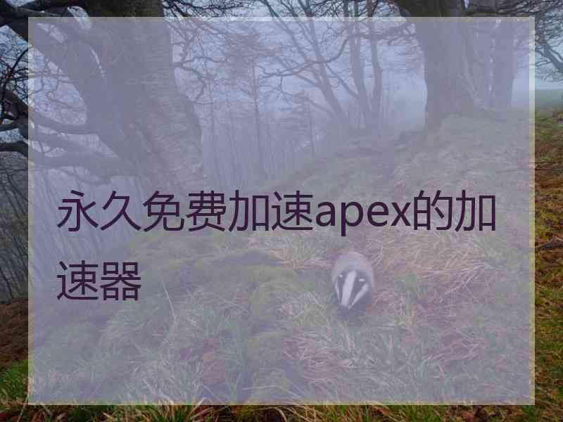 永久免费加速apex的加速器