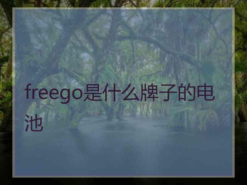 freego是什么牌子的电池