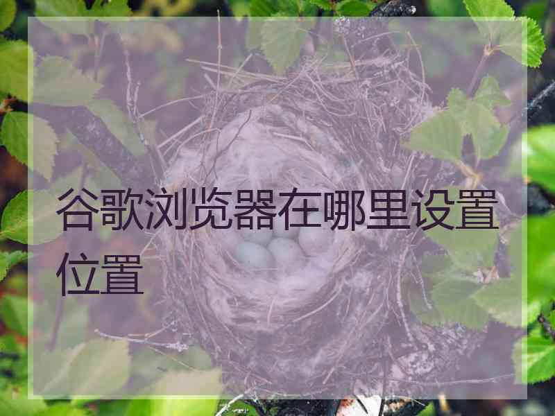 谷歌浏览器在哪里设置位置