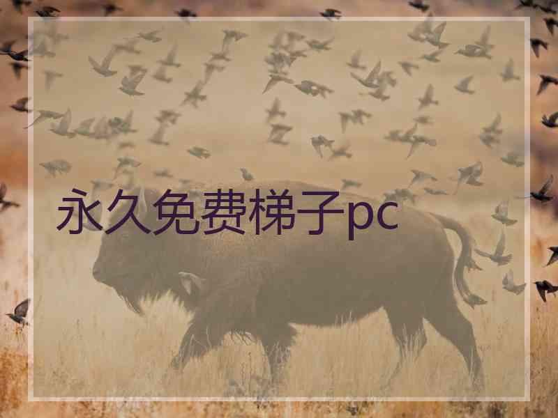 永久免费梯子pc