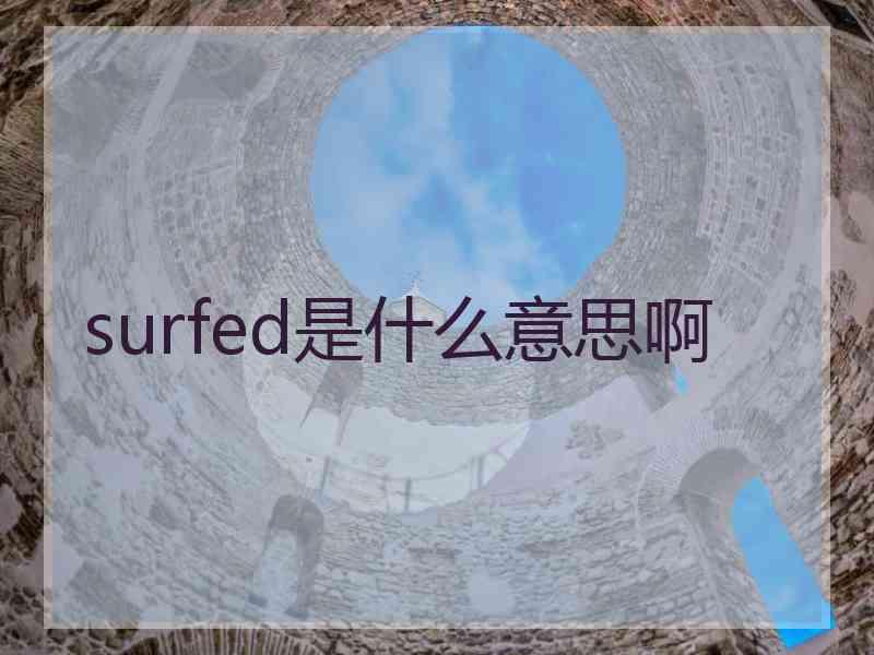 surfed是什么意思啊