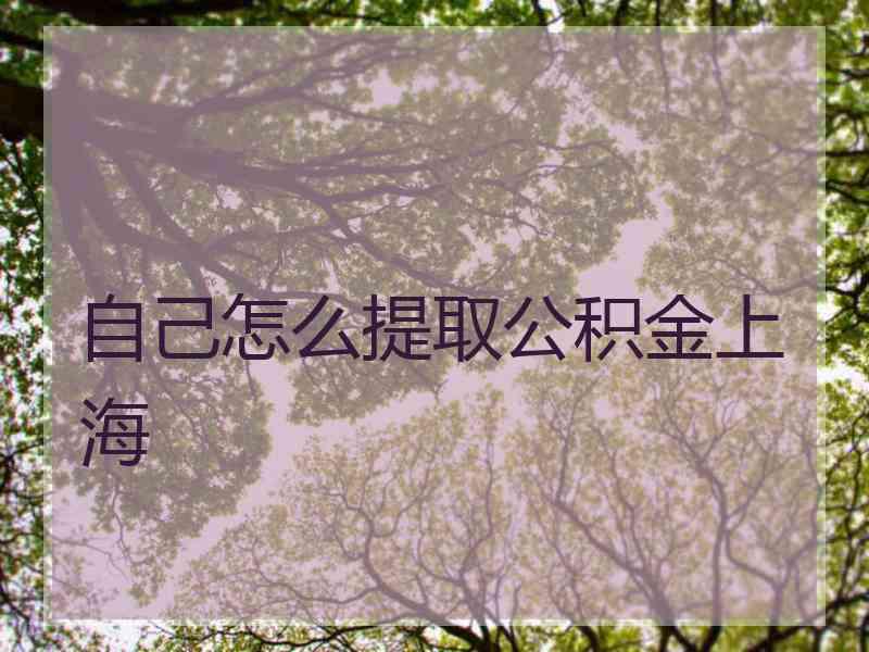 自己怎么提取公积金上海