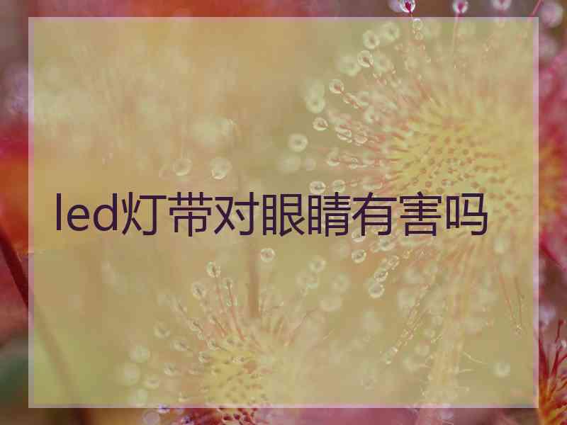 led灯带对眼睛有害吗