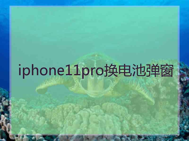 iphone11pro换电池弹窗