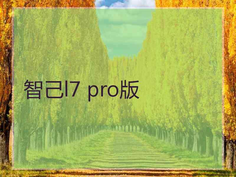 智己l7 pro版