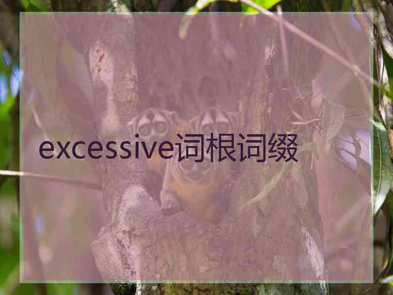 excessive词根词缀