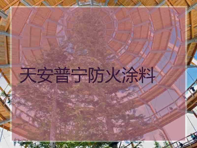 天安普宁防火涂料